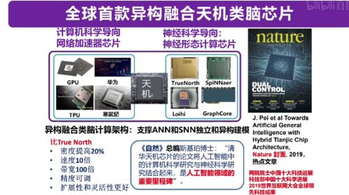 從類腦計算到機器學習 四大知名AI教授線上分享干貨，引領計算機軟硬件開發新趨勢